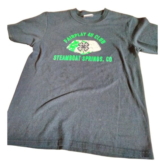 T Shirt Gray Fairplay Southpark Colorado Youth Size Large 4H club Steamboat - Picture 5 of 5